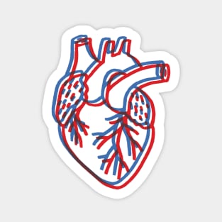 Anatomical Heart Sticker